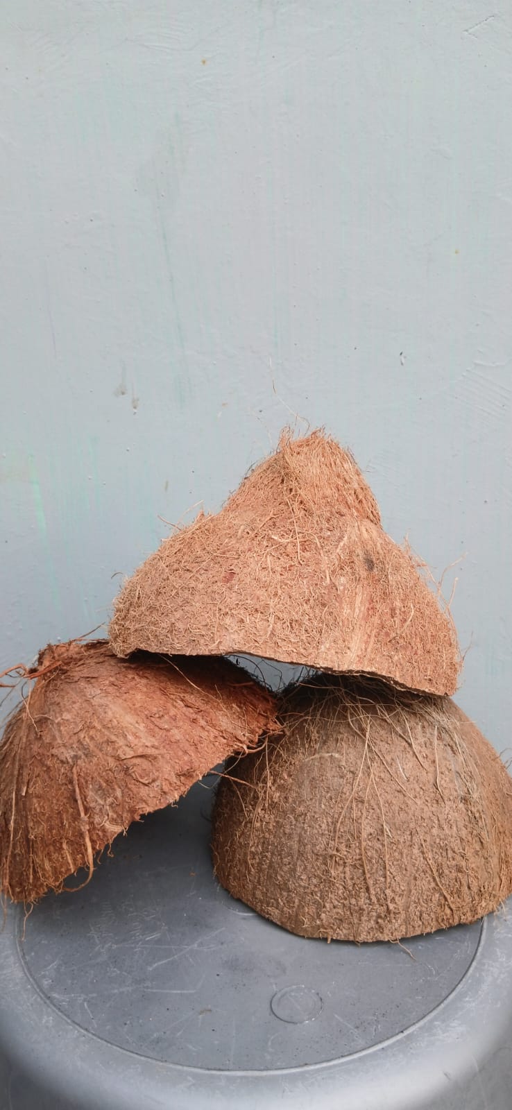 ARJO coconut charcoal production and packaging photo 12